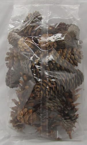 Shoots, Roots & Leather Boots Pine Cones Potpourri – Evergreen Scent – 5 Cup Bag – Handcrafted Woodland Bowl Filler with Natural Pinecones – Fresh Forest Aroma – Handmade in Tennessee