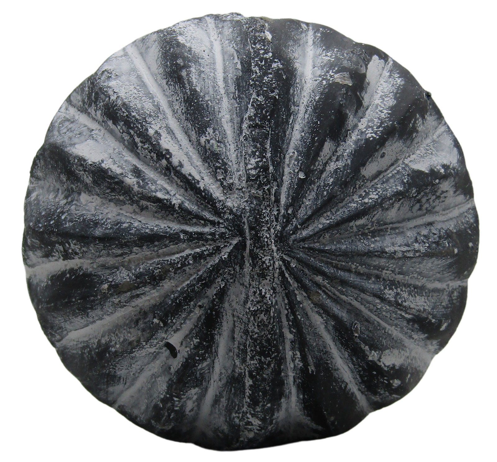 PD Home & Garden White Accented Diamond Concrete Farmhouse Garden Sphere Rustic Distressed 4 inch Diameter - anything4home