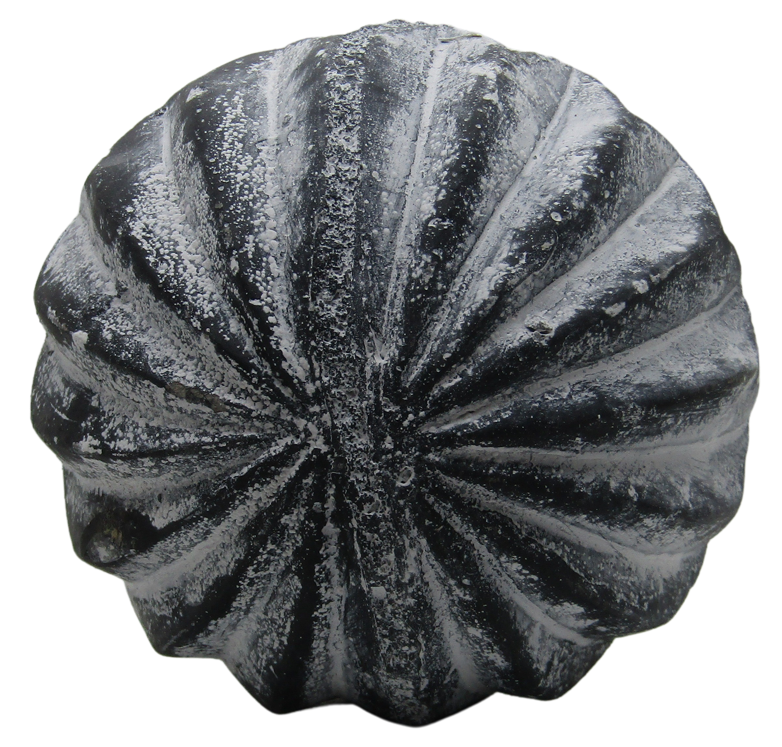 PD Home & Garden White Accented Diamond Concrete Farmhouse Garden Sphere Rustic Distressed 4 inch Diameter - anything4home