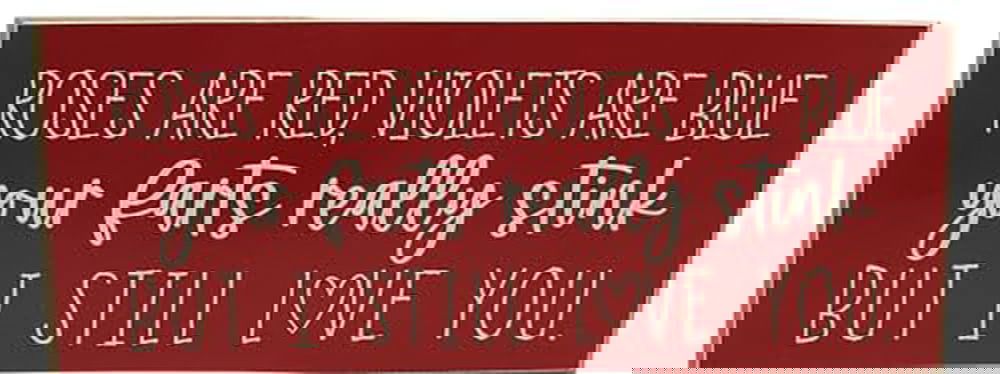 Roses are red violets are blue your farts really stink but i still love you mdf wood block sign - anything4home