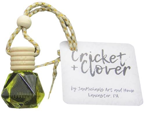 Sunrise Citrus Car Air Freshener Wooden Oil Diffuser with Rope for Hanging - anything4home