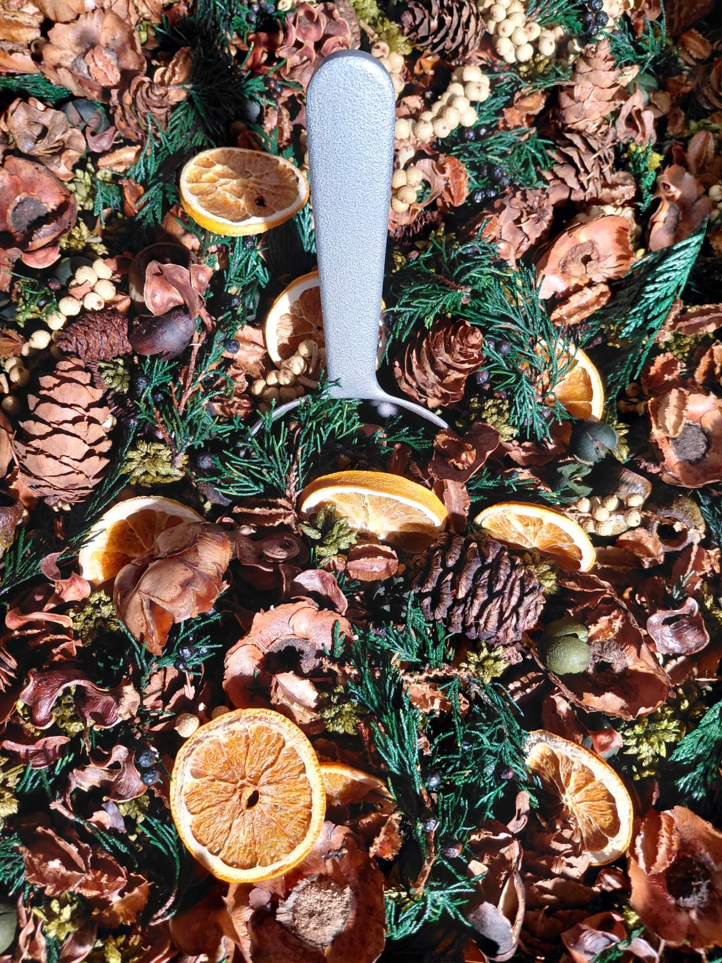 Balsam Orange Potpourri Bowl Filler with dried orange slices, pine cones, and green foliage