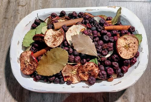 Apple Spice Potpourri rustic bowl with dried apple slices cinnamon sticks bay leaves and purple berries