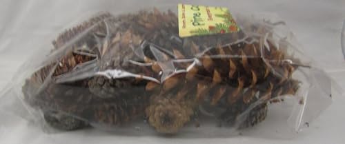 Shoots, Roots & Leather Boots Pine Cones Potpourri – Evergreen Scent – 5 Cup Bag – Handcrafted Woodland Bowl Filler with Natural Pinecones – Fresh Forest Aroma – Handmade in Tennessee