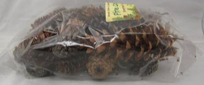 Shoots, Roots & Leather Boots Pine Cones Potpourri – Evergreen Scent – 5 Cup Bag – Handcrafted Woodland Bowl Filler with Natural Pinecones – Fresh Forest Aroma – Handmade in Tennessee