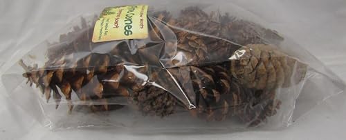 Shoots, Roots & Leather Boots Pine Cones Potpourri – Evergreen Scent – 5 Cup Bag – Handcrafted Woodland Bowl Filler with Natural Pinecones – Fresh Forest Aroma – Handmade in Tennessee