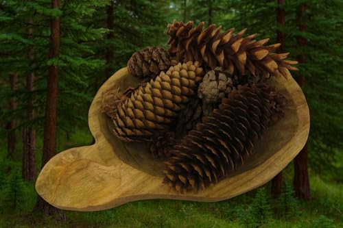 Shoots, Roots & Leather Boots Pine Cones Potpourri – Evergreen Scent – 5 Cup Bag – Handcrafted Woodland Bowl Filler with Natural Pinecones – Fresh Forest Aroma – Handmade in Tennessee