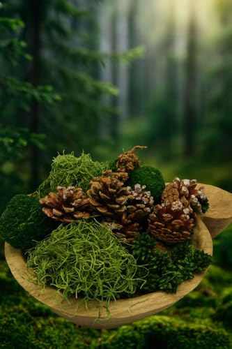 Shoots, Roots & Leather Boots Evergreen & Moss Potpourri – 5 Cup Bag – Handcrafted Botanical Bowl Filler with Pinecones & Green Moss – Fresh Woodland Fragrance – Handmade in Tennessee