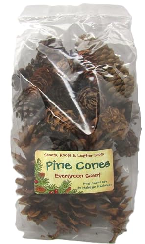 Shoots, Roots & Leather Boots Pine Cones Potpourri – Evergreen Scent – 5 Cup Bag – Handcrafted Woodland Bowl Filler with Natural Pinecones – Fresh Forest Aroma – Handmade in Tennessee