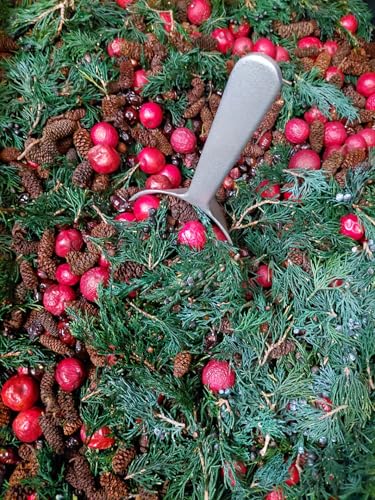 Shoots, Roots & Leather Boots Christmas Thyme Potpourri – 4 Cup Bag – Maine Balsam & Adirondack Pine Scent – Handmade Holiday Bowl Filler – Rustic Winter Home Décor