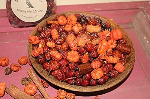 Barn Owl Botanicals Pumpkin Spice Potpourri Scented Putka Pods Bowl Filler Decoration 3 Cup Bag - anything4home