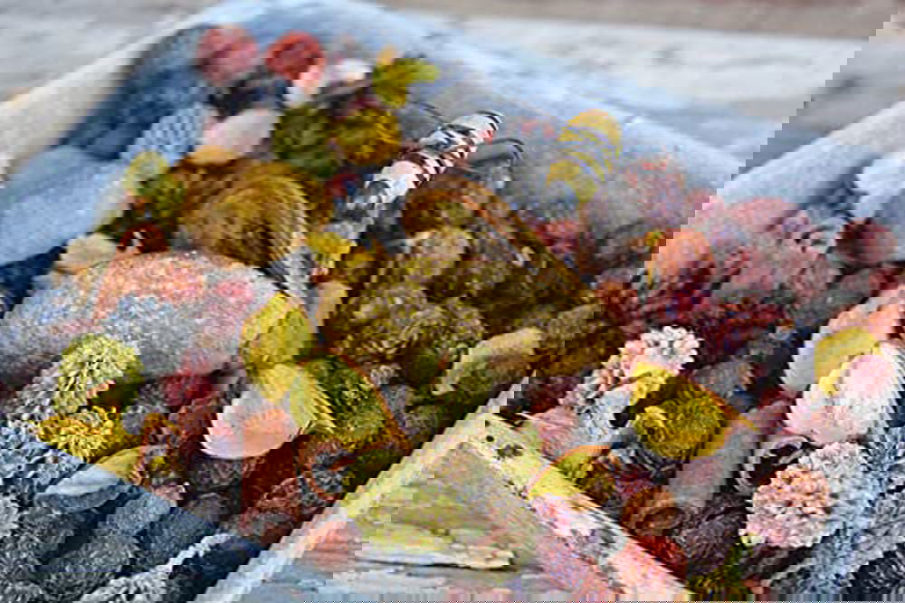 Bee My Honey Potpourri Decorative Bowl Filler Half Pound Bag - anything4home