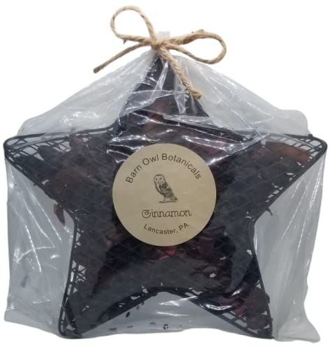 Cinnamon Potpourri Hanging 8 inch Primitve Farmhouse Decoration Star Chicken Wire Mesh - anything4home