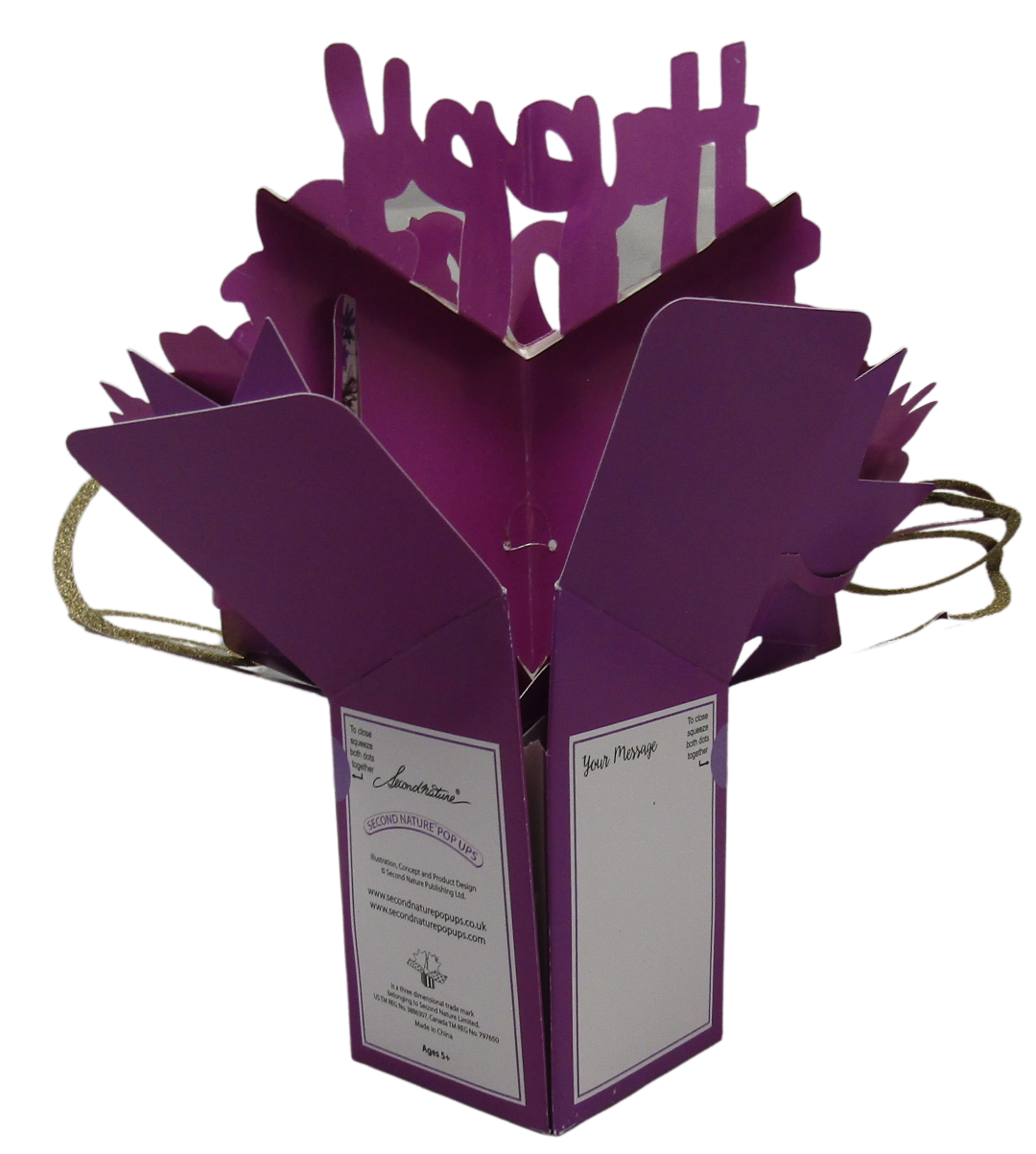 Happy 80th Birthday Pop-Up Greeting Card Original Second Nature 3D Pop Up Cards - anything4home