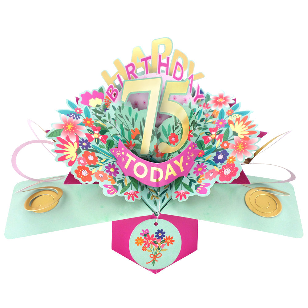 Happy 'Any Age' Birthday '10 To 109' Today Pop-Up Greeting Card for Her