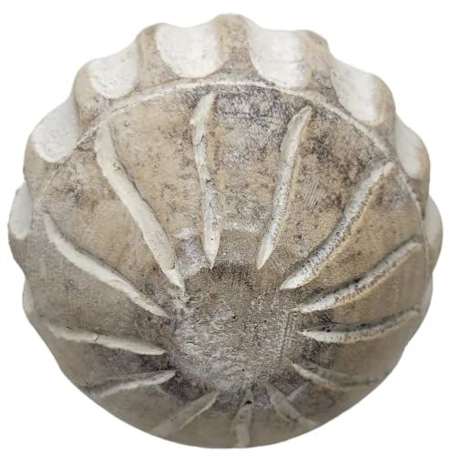 PD Home & Garden Carved Medallion Decorative Wood Ball with White Accents - anything4home
