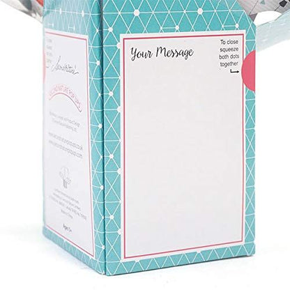 Second Nature Birthday Balloons Pop Up Greeting Card - POP169 - anything4home