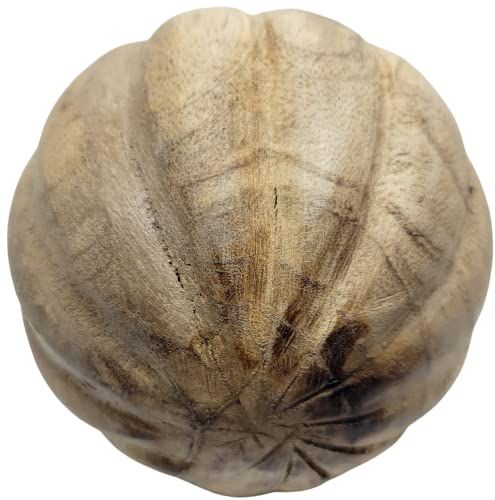 Carved Vane Decorative Wood Ball natural carved wooden sphere with radiating vane grooves and rustic wood grain