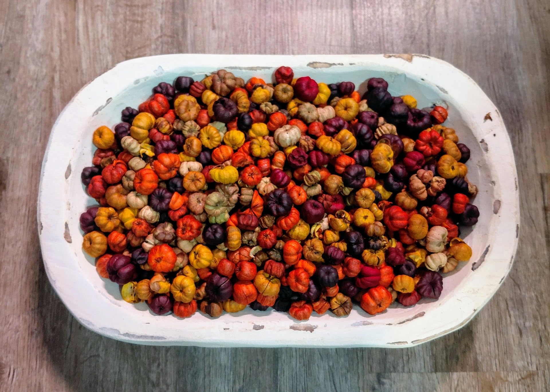 Maple Syrup Potpourri bowl of small dried decorative pumpkins in autumn colors in white oval tray