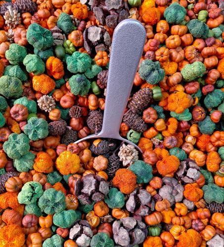 Colorful assortment of Shoots Roots and Leather Boots botanical bowl filler with green orange and brown decorative elements