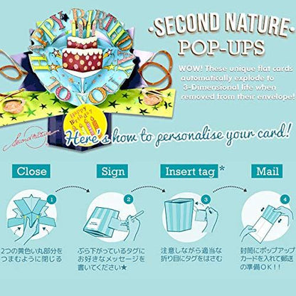 Second Nature Pop Ups colorful pop up birthday card showing cake and birthday message with instructions
