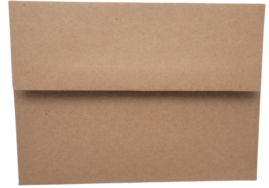 Brown kraft paper envelope for shits and giggles birthday card from Jan Michaels Art and Home