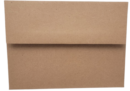 Brown kraft paper envelope for shits and giggles birthday card from Jan Michaels Art and Home