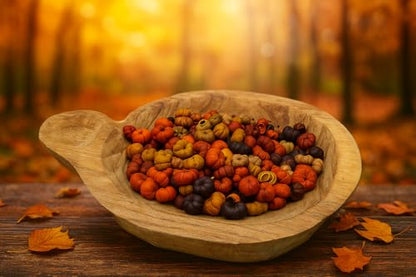 Shoots, Roots & Leather Boots autumn potpourri in a wooden bowl with colorful miniature pumpkins
